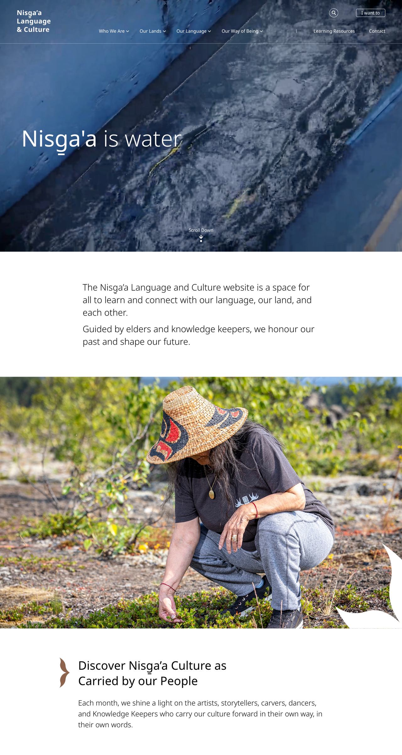 Indigenous website design for Nisg̱a’a Language  Culture: nisgaalanguage.ca on a laptop