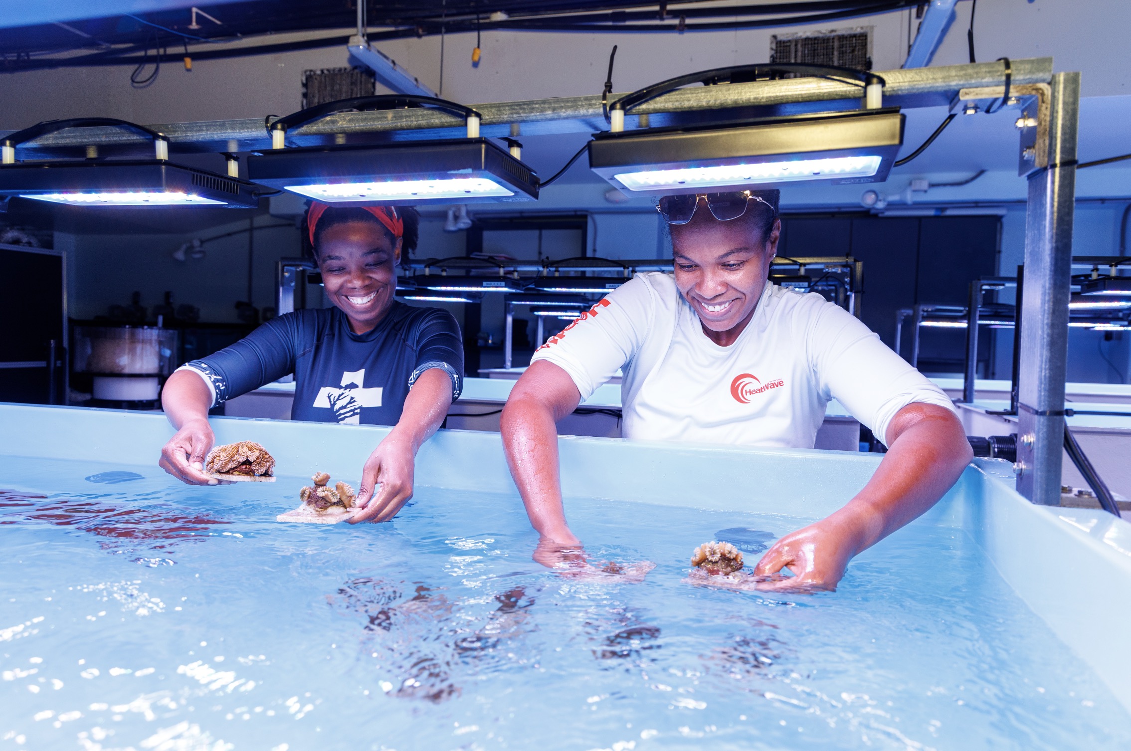 Two researchers working in a coral nursery lab