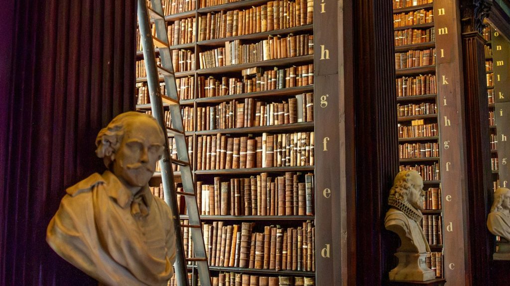 Rows of old books filling the shelves of a vast historic library.